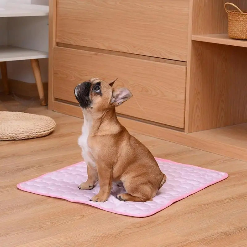 Tapis rafraîchissant alvéolé à trois couches