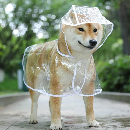 Poncho imperméable transparent avec capuche