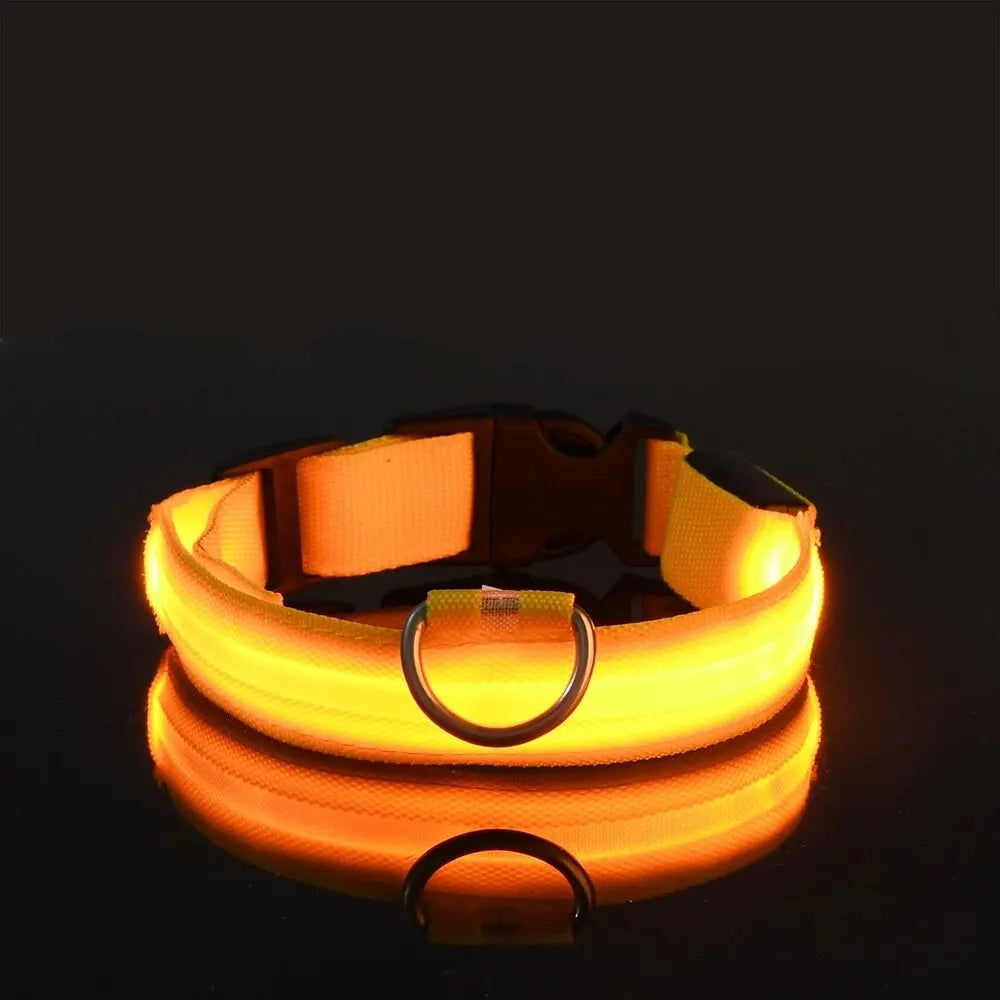 Collier lumineux LED ajustable et rechargeable par USB