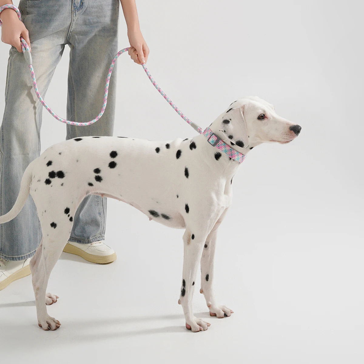 Collier/Laisse chien tressé réfléchissant inspiration alpinisme