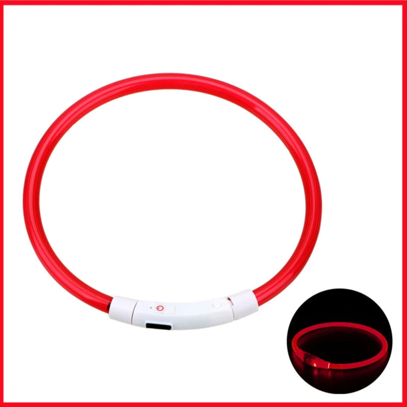 Collier lumineux LED ajustable et rechargeable par USB