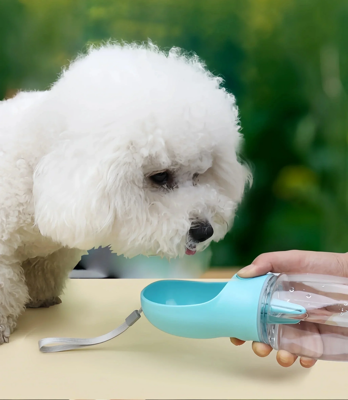 Gourde/Gamelle de voyage multiusage