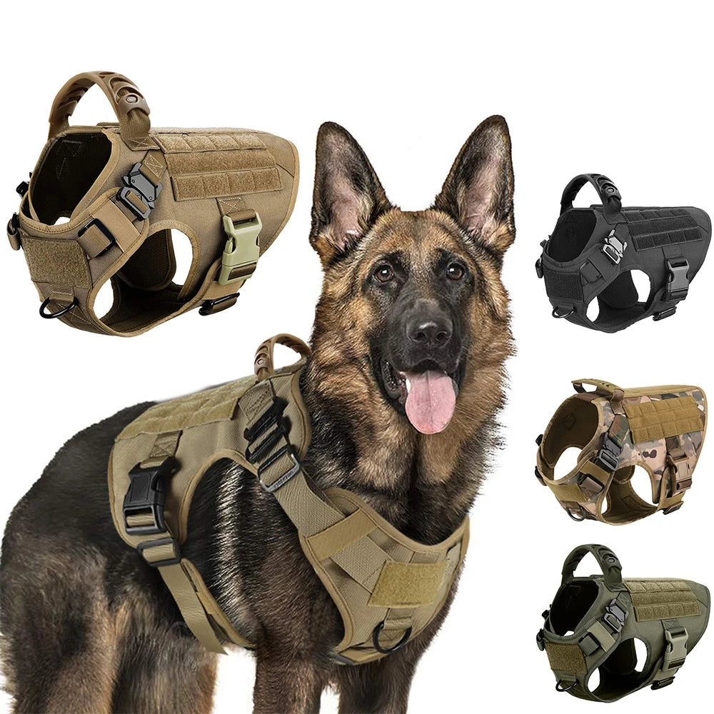 Harnais chien baroudeur inspiration militaire pour grand animal