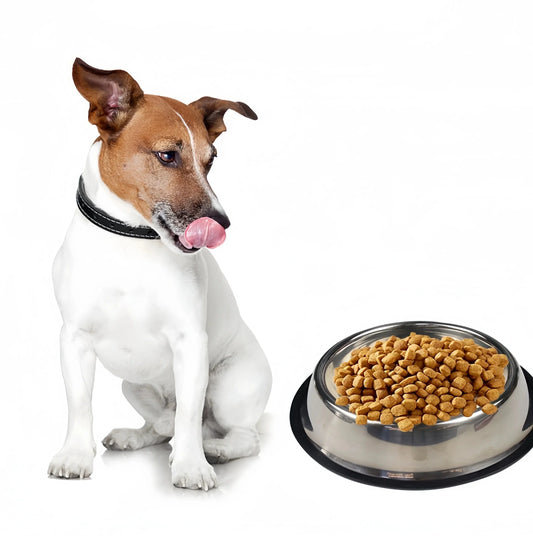 Gamelle en acier inoxydable résistante