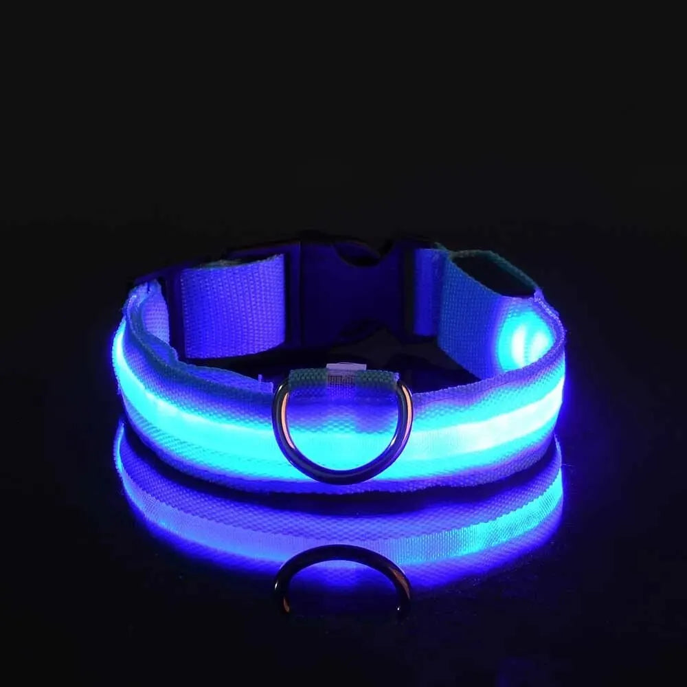 Collier lumineux LED ajustable et rechargeable par USB