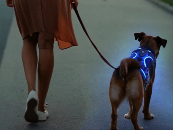 Harnais lumineux LED de sécurité nocturne inspiration sabre laser