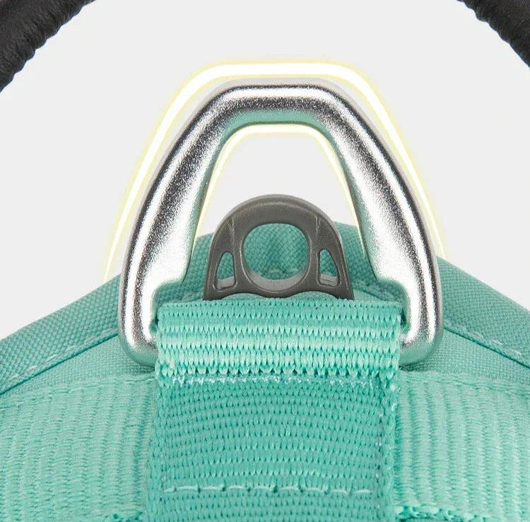 Harnais chien "Squelette" léger