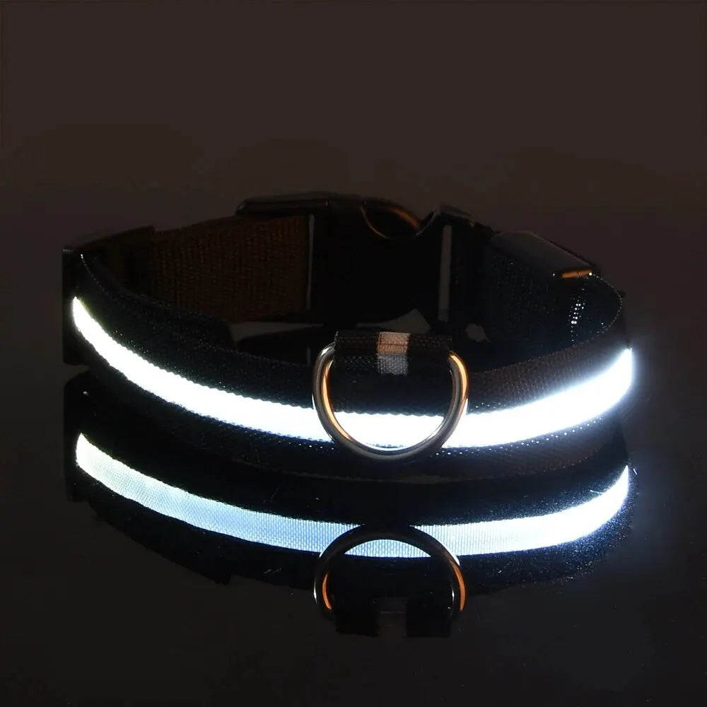 Collier lumineux LED ajustable et rechargeable par USB