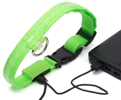 Collier lumineux LED ajustable et rechargeable par USB