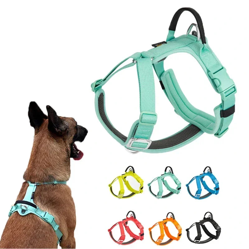 Harnais chien "Squelette" léger