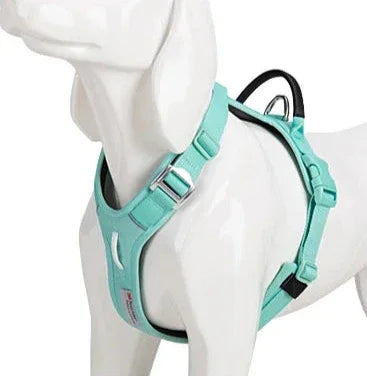 Harnais chien "Squelette" léger