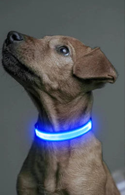 Collier lumineux LED ajustable et rechargeable par USB