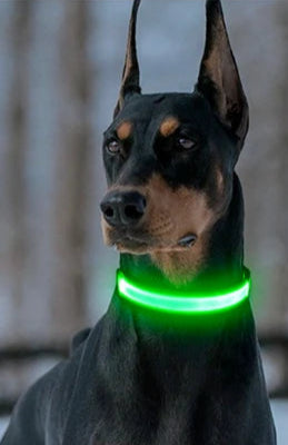 Collier lumineux LED ajustable et rechargeable par USB