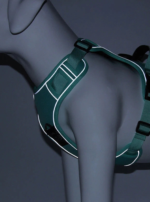 Harnais/Laisse sécurité 2.0 avec coque AirTag compatible