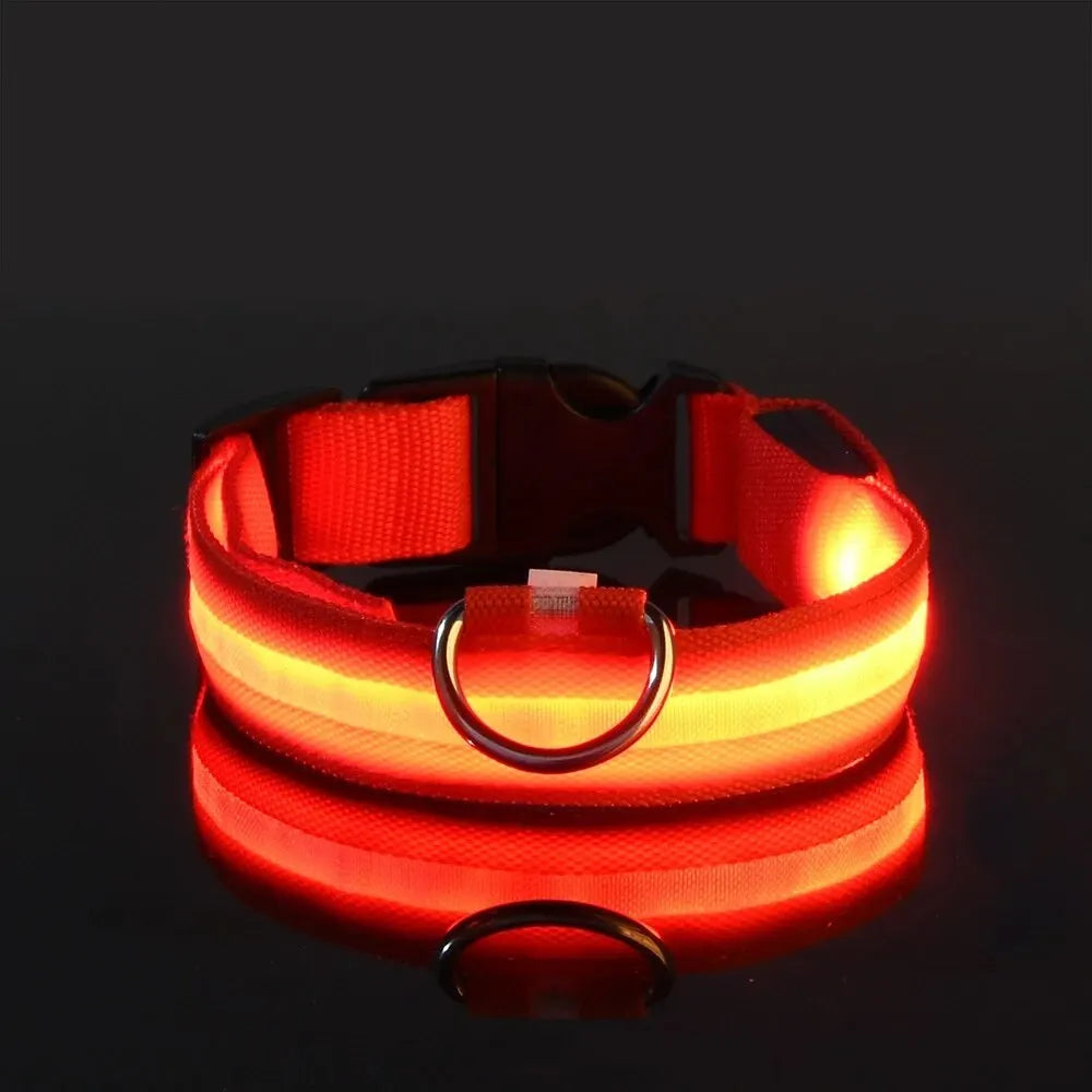 Collier lumineux LED ajustable et rechargeable par USB