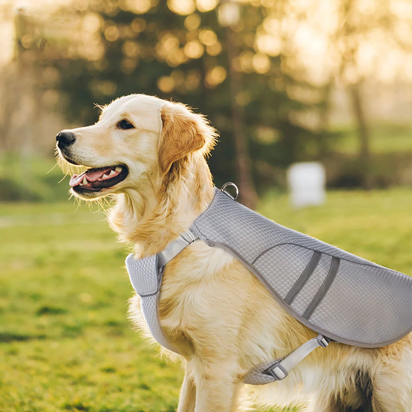 Gilet rafraîchissant microfibre à refroidissement par évaporation