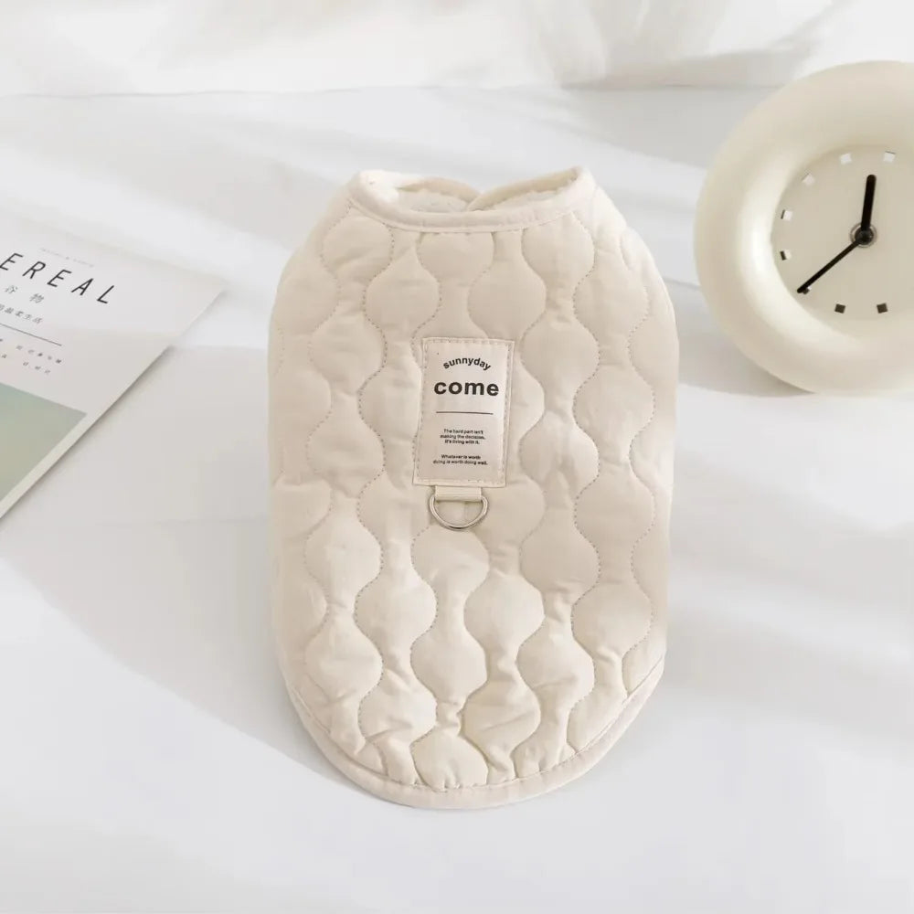 Veston élégant et minimaliste d'hiver