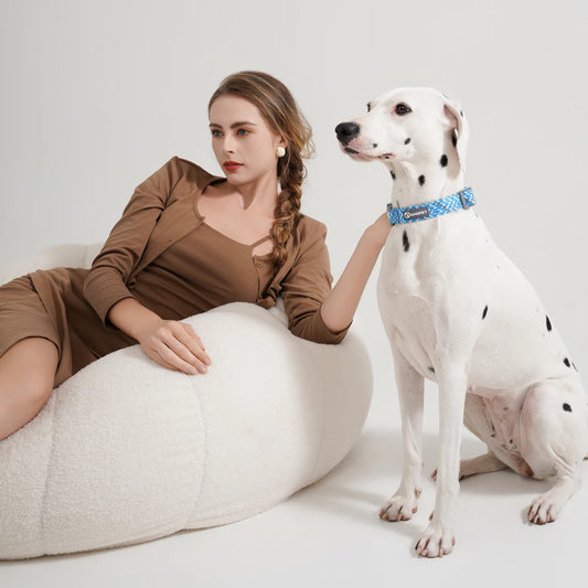 Collier/Laisse chien tressé réfléchissant inspiration alpinisme