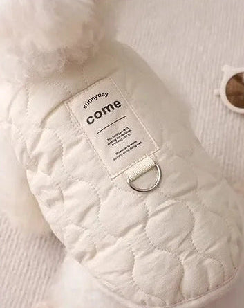 Veston élégant et minimaliste d'hiver