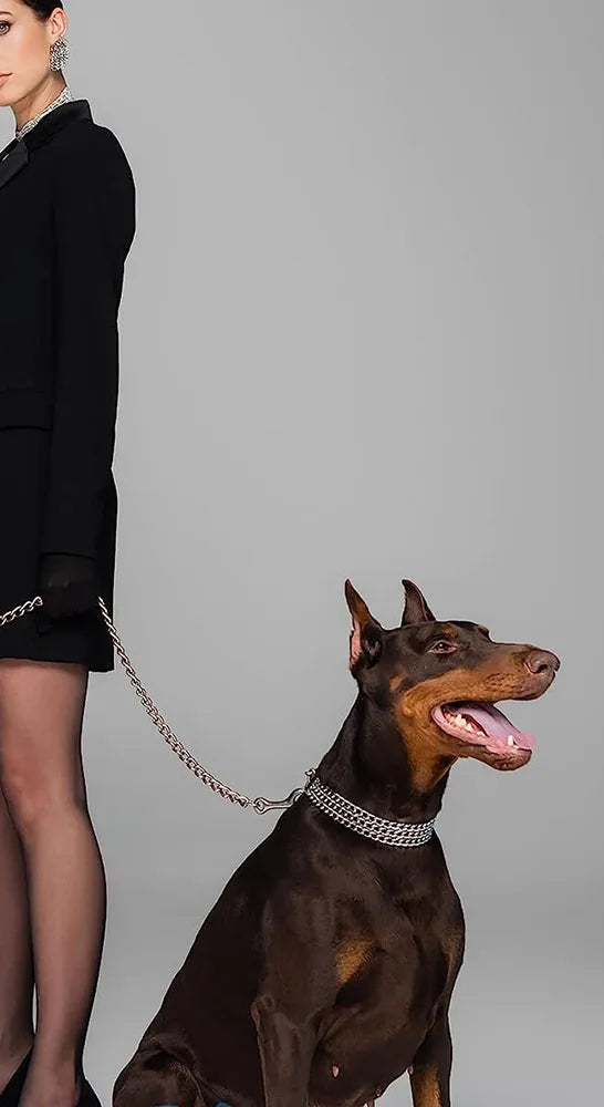 Chaîne chien argentée à maillons cubains bling