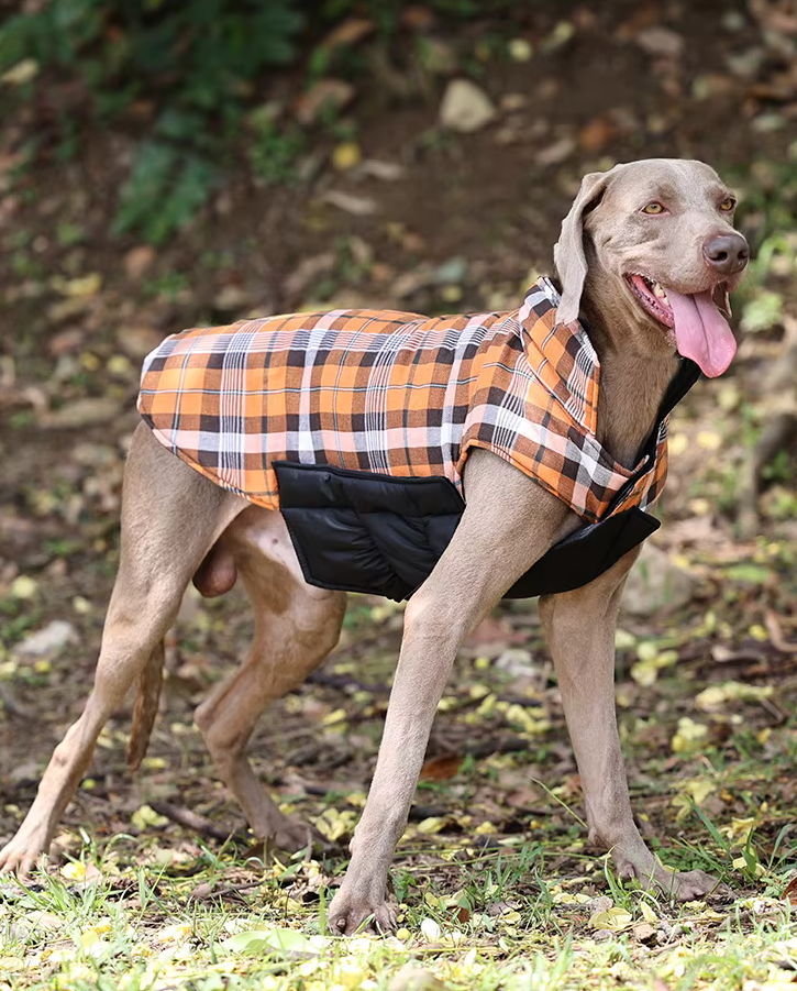 Veste imperméable réversible matelassée inspiration vintage