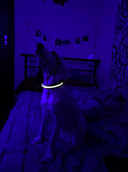 Collier lumineux LED ajustable et rechargeable par USB