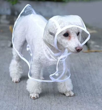 Poncho imperméable transparent avec capuche