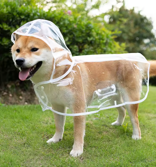 Poncho imperméable transparent avec capuche