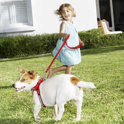 Harnais chien/chat girly à strass en suède