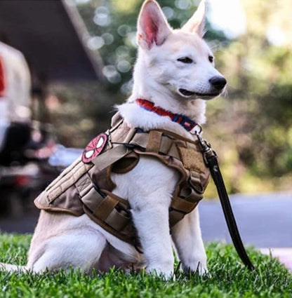Harnais chien baroudeur inspiration militaire pour grand animal