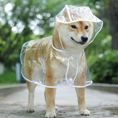 Poncho imperméable transparent avec capuche