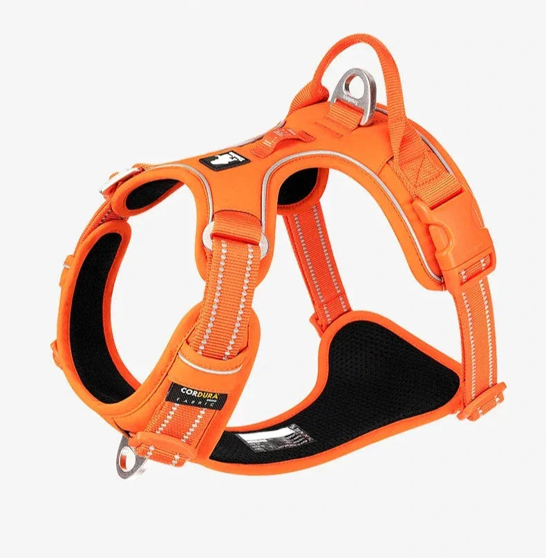 Harnais chien ergonomie et sécurité