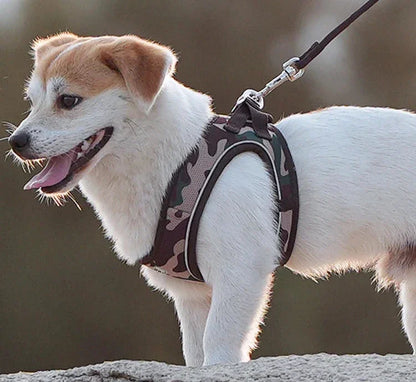 Harnais/Laisse chien ajustable fun