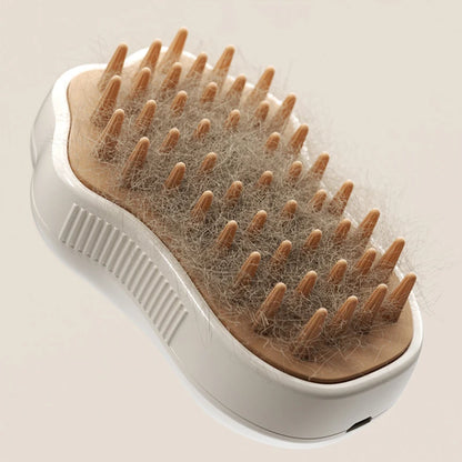 Brosse vapeur 3-en-1 bien-être