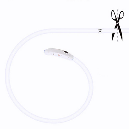 Collier lumineux LED ajustable et rechargeable par USB
