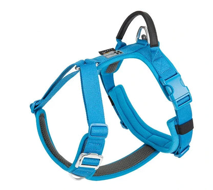 Harnais chien "Squelette" léger