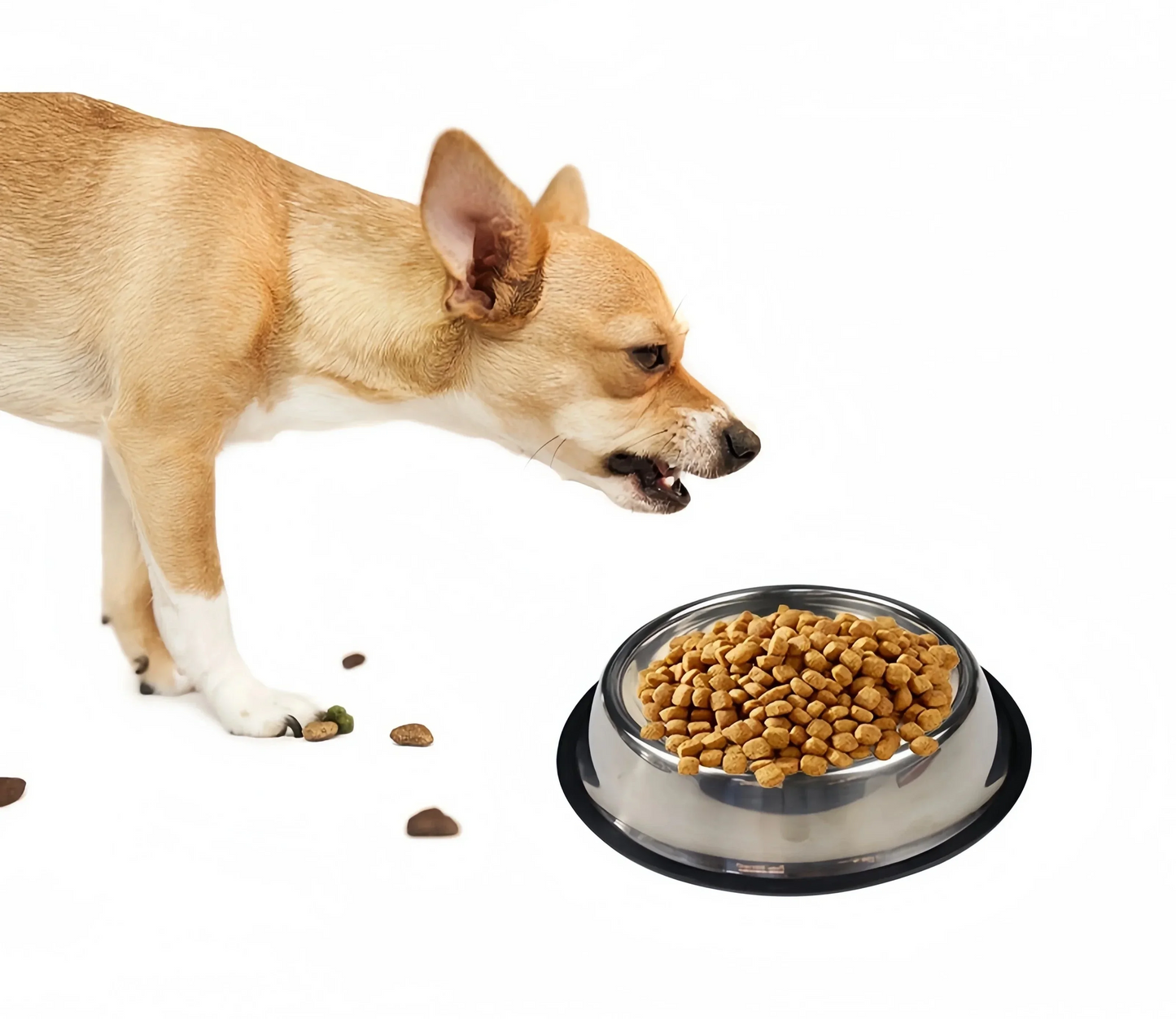 Gamelle en acier inoxydable résistante