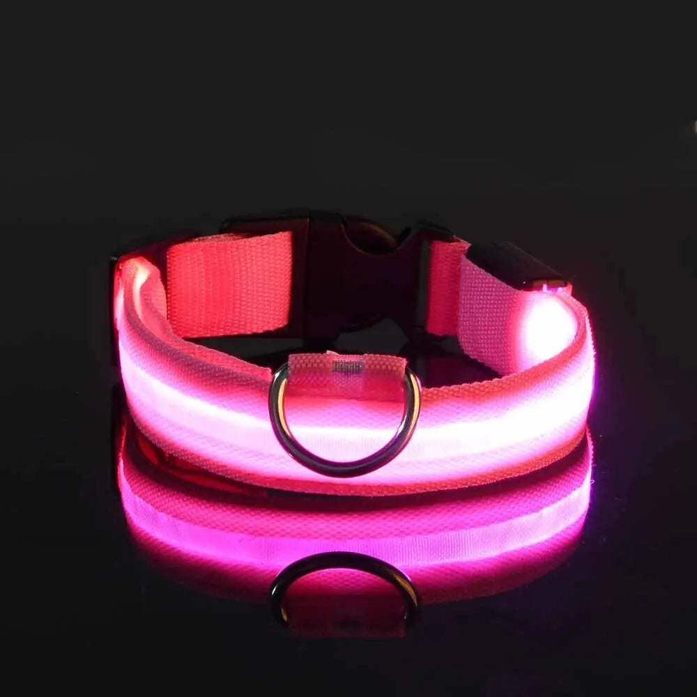 Collier lumineux LED ajustable et rechargeable par USB