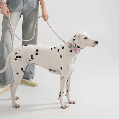 Collier/Laisse chien tressé réfléchissant inspiration alpinisme