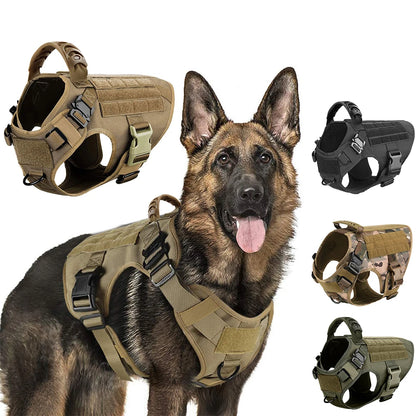 Harnais chien baroudeur inspiration militaire pour grand animal