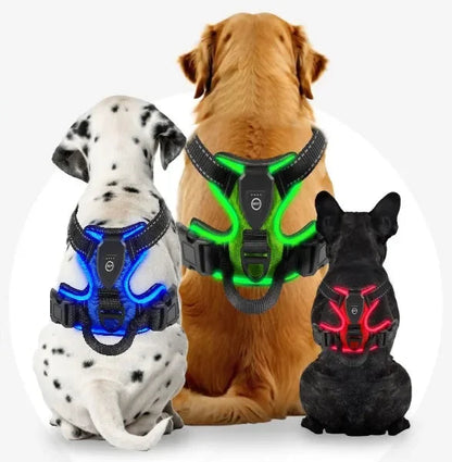 Harnais lumineux LED de sécurité nocturne inspiration sabre laser