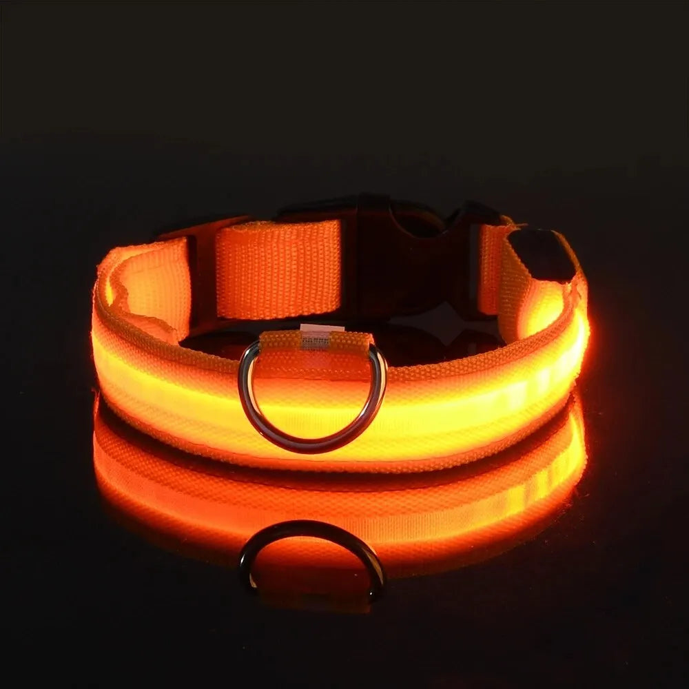 Collier lumineux LED ajustable et rechargeable par USB