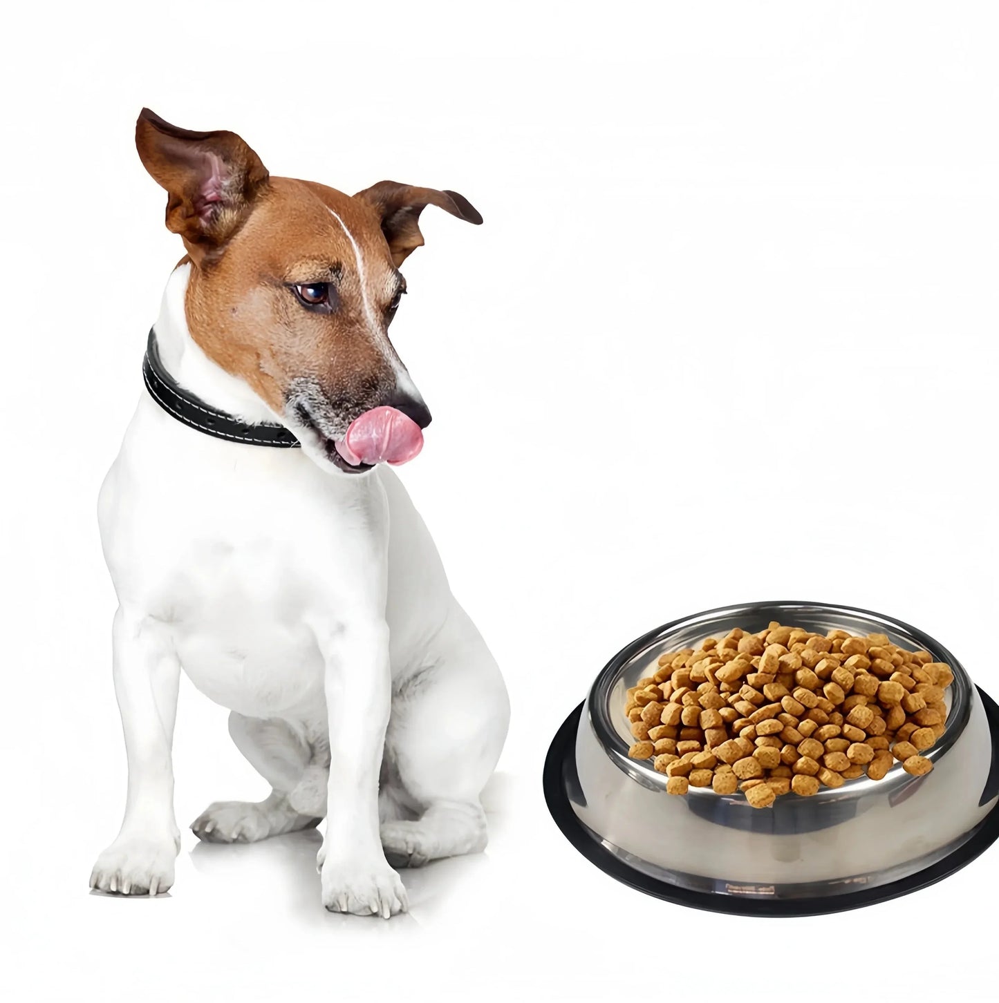 Gamelle en acier inoxydable résistante