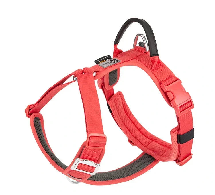 Harnais chien "Squelette" léger