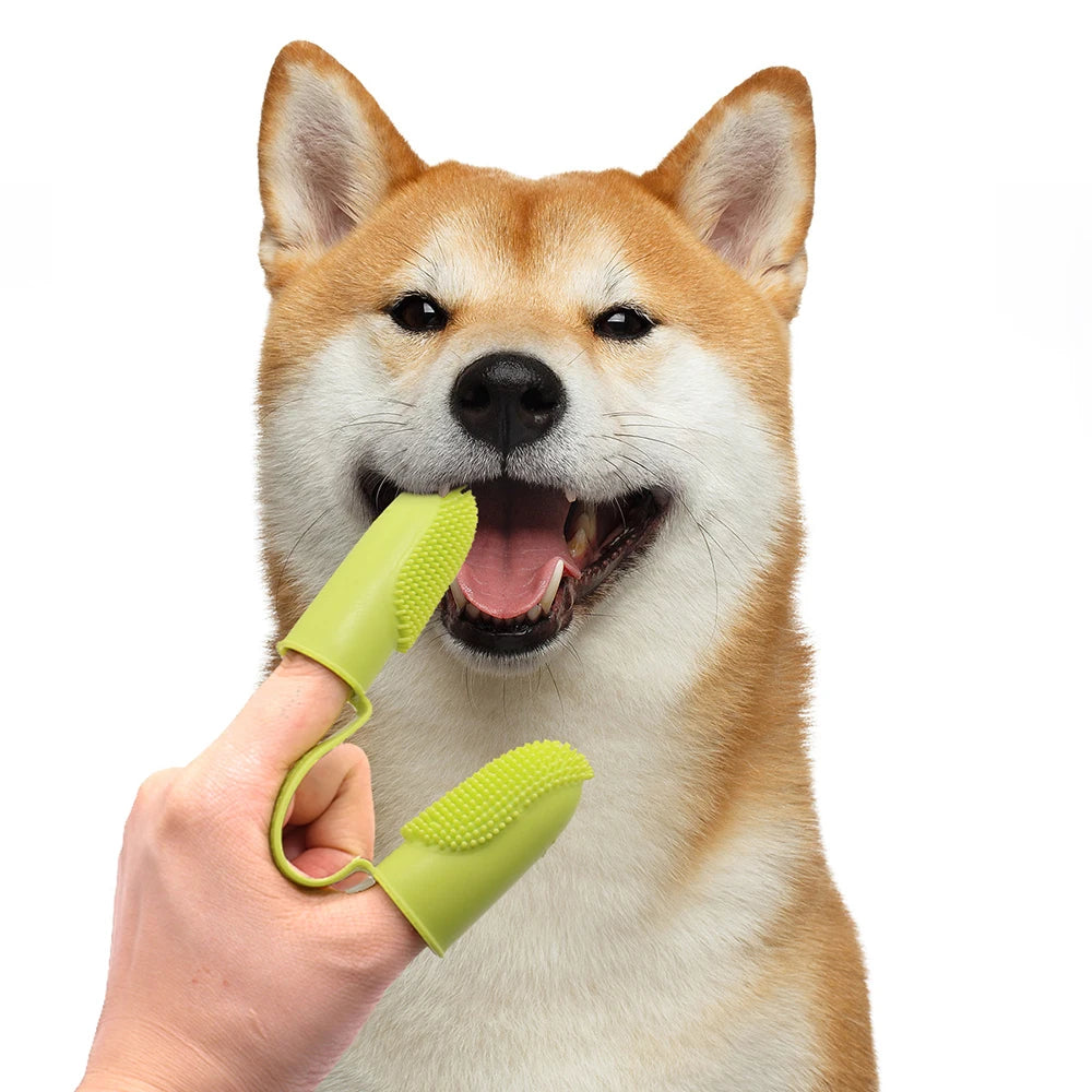 Brosse à dents en silicone alimentaire