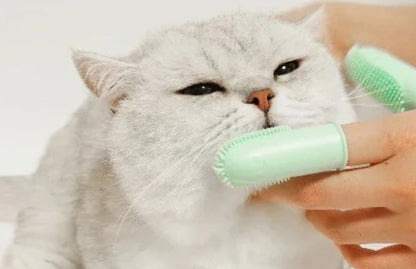 Brosse à dents en silicone alimentaire