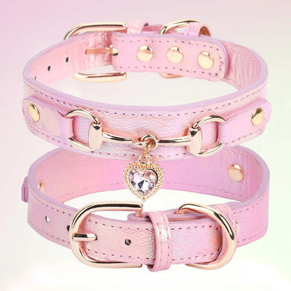 Collier chien/chat joyau prestige