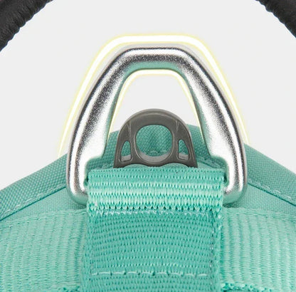 Harnais chien "Squelette" léger