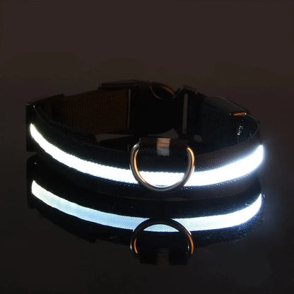 Collier lumineux LED ajustable et rechargeable par USB