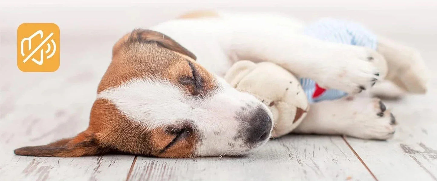 Ponceuse à ongles rechargeable pour chien